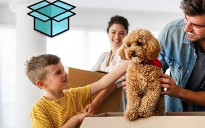 Understanding Moving Insurance & What You Need to Know
