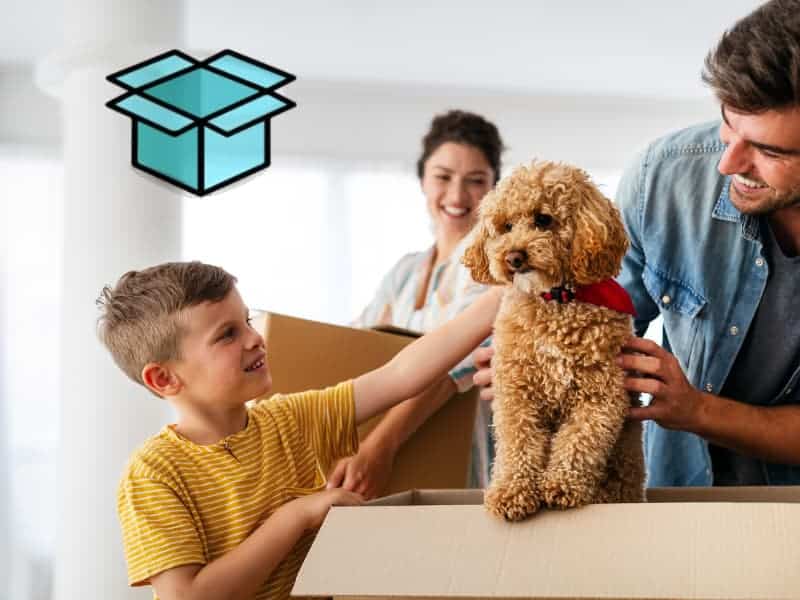 Understanding Moving Insurance & What You Need to Know